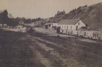 Hollweg2